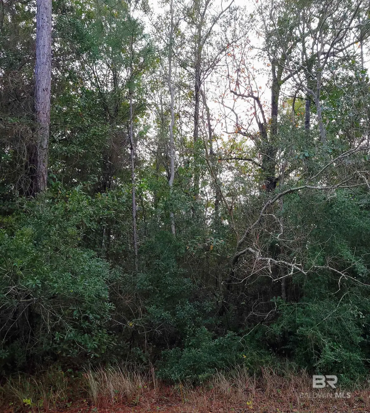 00 Us Highway 98, Elberta, AL 36530 - #1