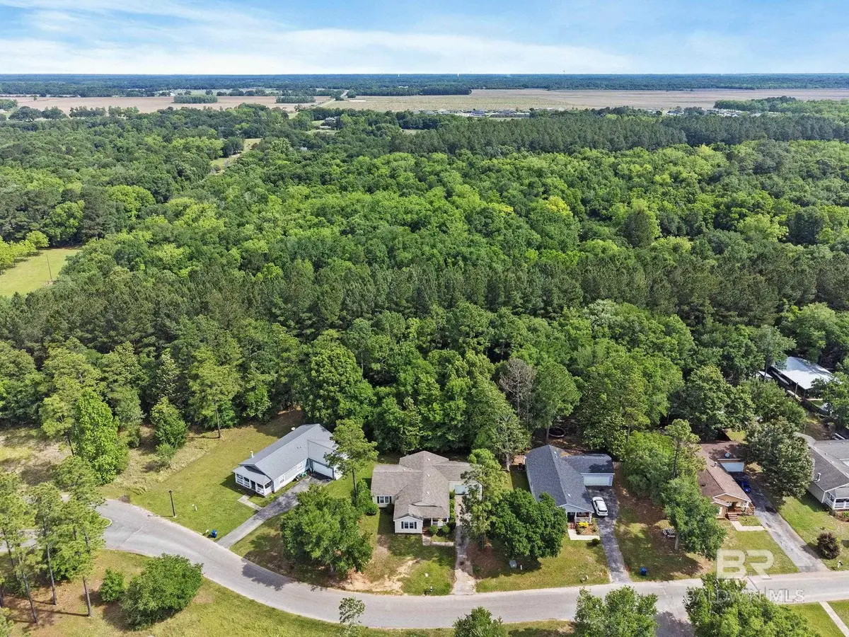 10200 March Pointe Drive, Theodore, AL 36582 - #1