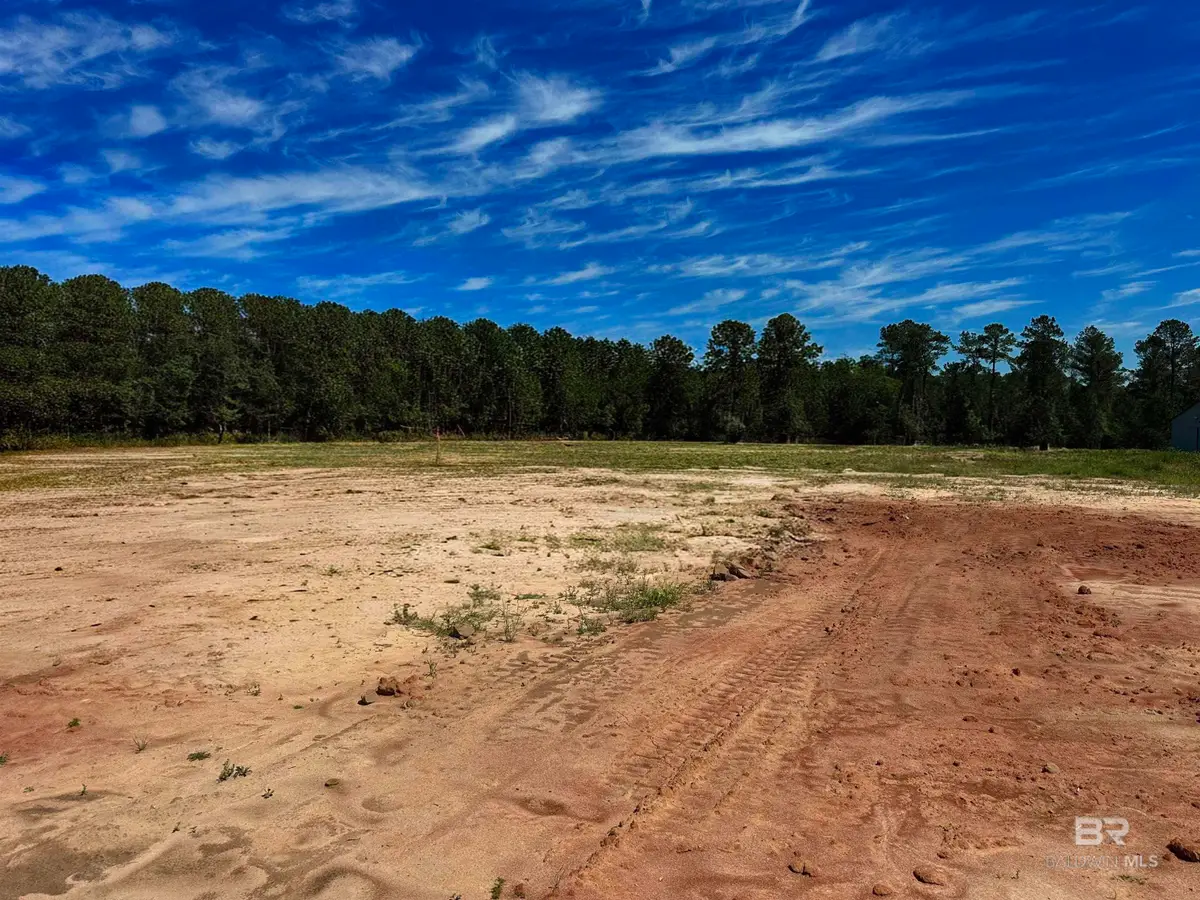 Lot 2, 0 T Bridge Road, Red Level, AL 36474 - #1