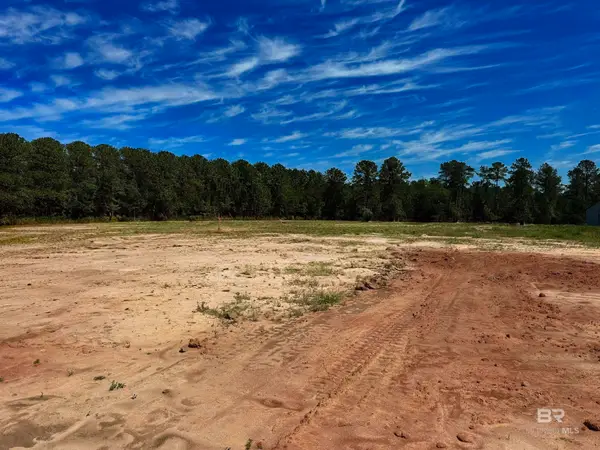 Lot 2, 0 T Bridge Road, Red Level, AL 36474