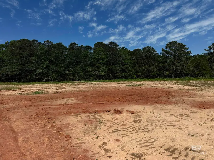 Lot 2, 0 T Bridge Road, Red Level, AL 36474 - #2