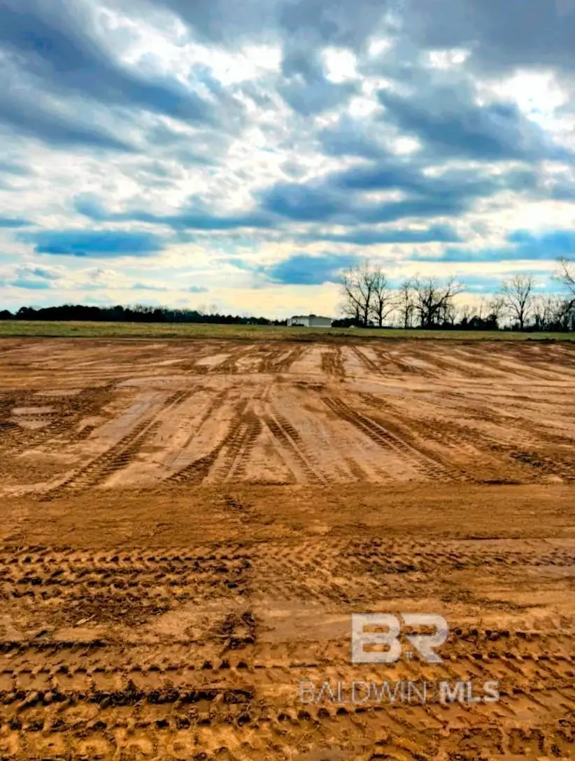 Lot 2, 0 T Bridge Road, Red Level, AL 36474 - #3