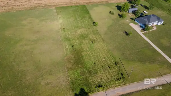 0 Lanier Lane, Chunchula, AL 36521