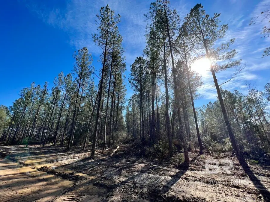 0 County Road 64, Robertsdale, AL 36507 - #2