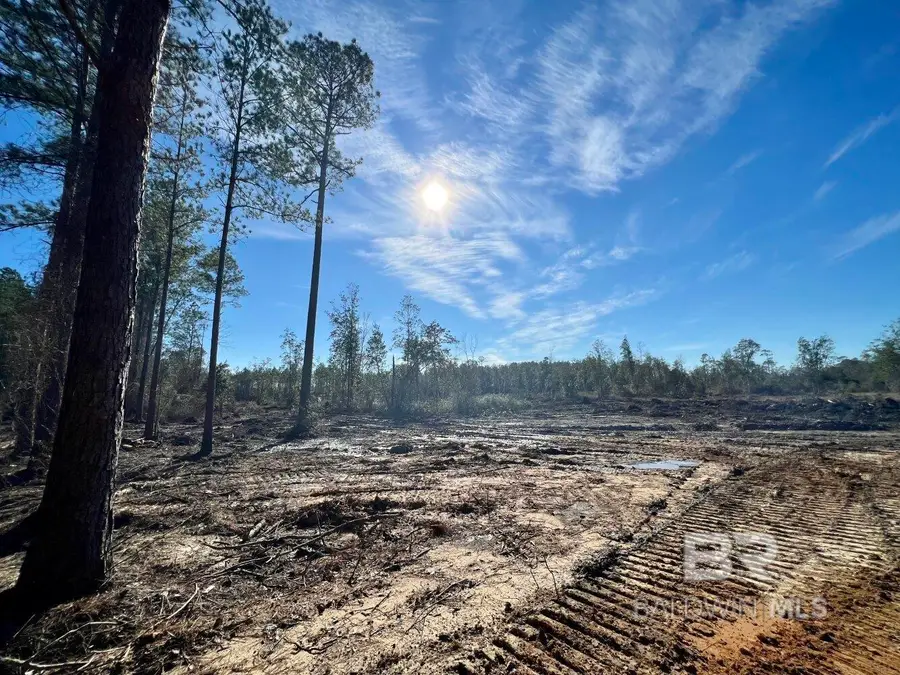 0 County Road 64, Robertsdale, AL 36507 - #3