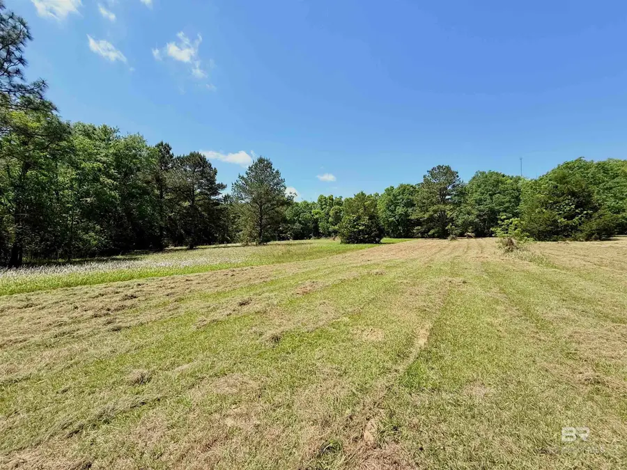 Pearson Lane, Robertsdale, AL 36567 - #3