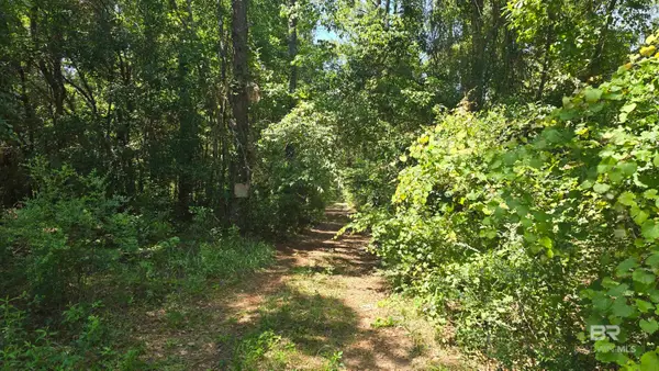 0 Toler Road, Silverhill, AL 36576