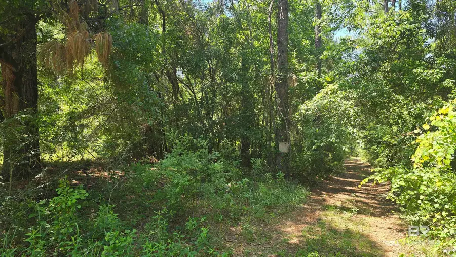 0 Toler Road, Silverhill, AL 36576 - #2