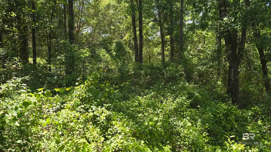 0 Toler Road, Silverhill, AL 36576 - #3