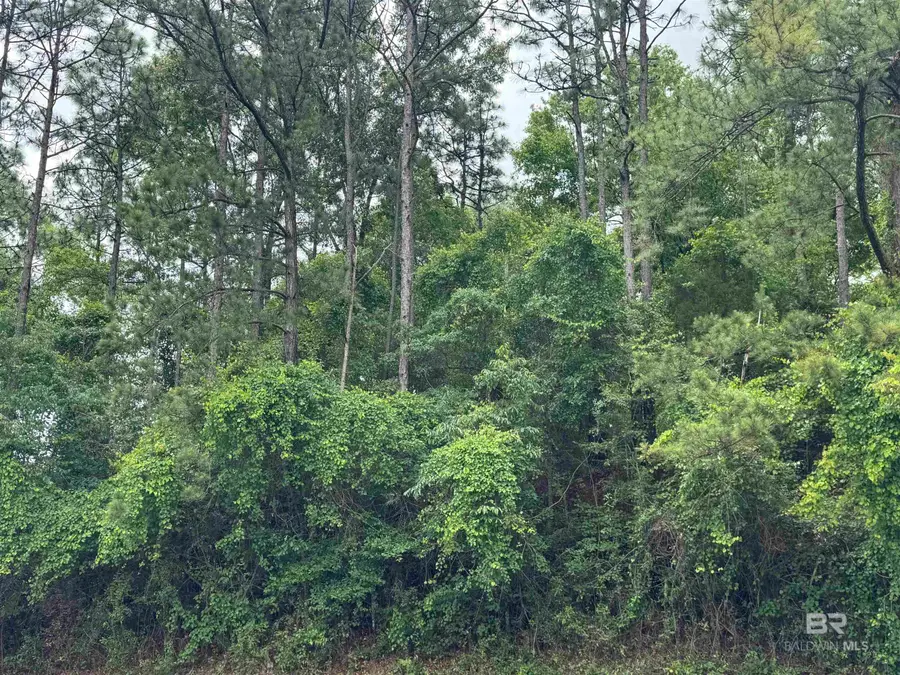 33716 Rosalia Avenue, Lillian, AL 36549 - #2