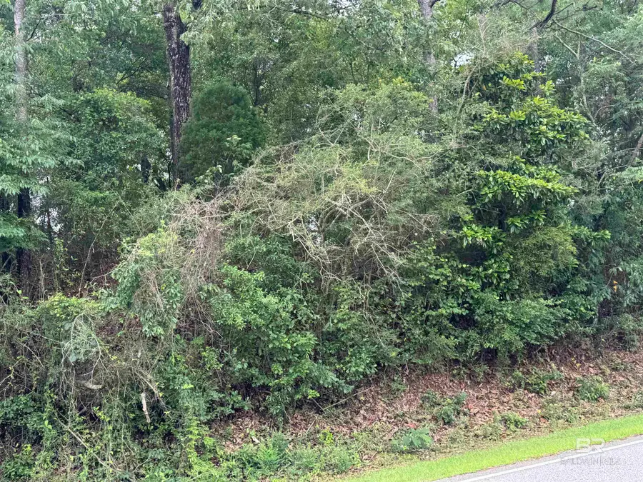 33716 Rosalia Avenue, Lillian, AL 36549 - #3