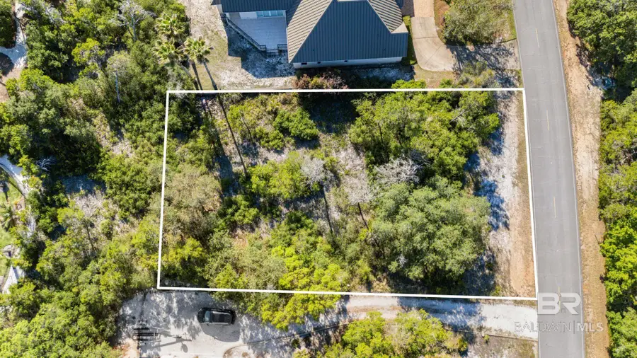 0 Dolphin Drive, Orange Beach, AL 36561 - #3