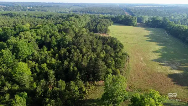 0 Joe Reeves Road, Castleberry, AL 36432
