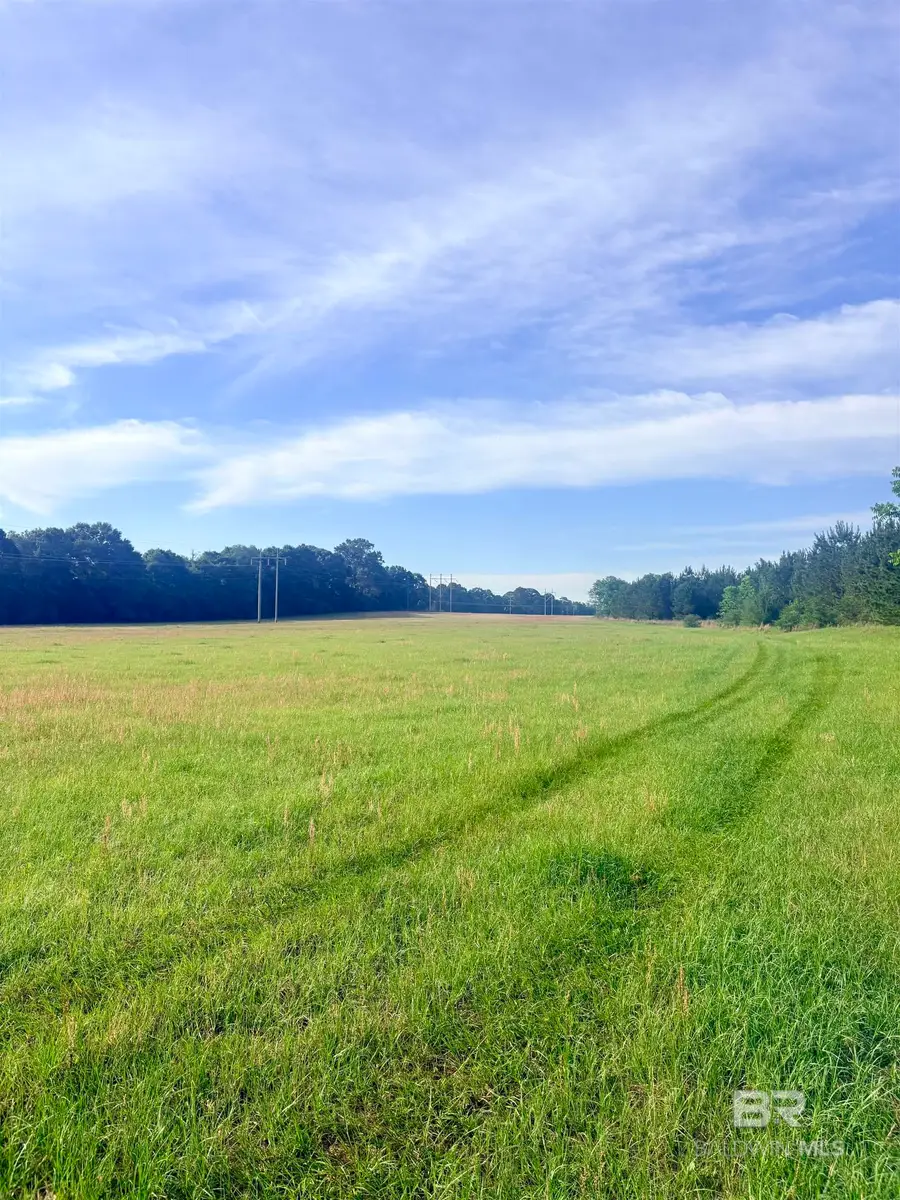 0 Joe Reeves Road, Castleberry, AL 36432 - #2