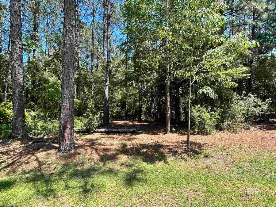 37575 Highway 59, Bay Minette, AL 36507 - #3