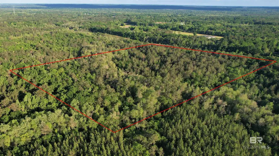 0 Pleasant Hill Road, Century, FL 32535 - #3