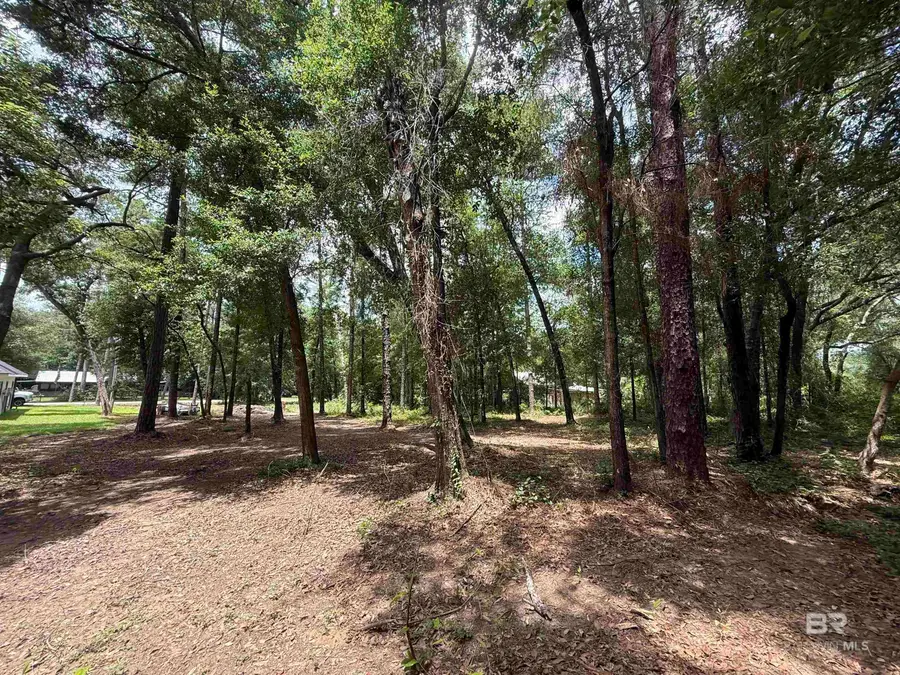 0 Jackson Lane, Foley, AL 36535 - #2