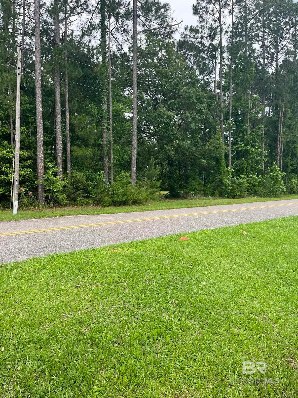 Ward Road, Stapleton, AL 36527 - #1