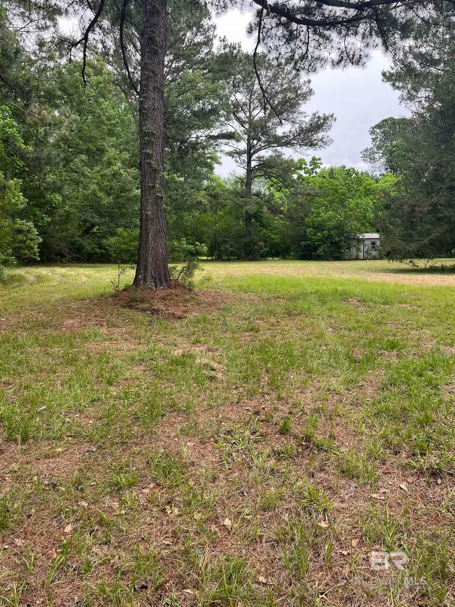 Ward Road, Stapleton, AL 36527 - #3