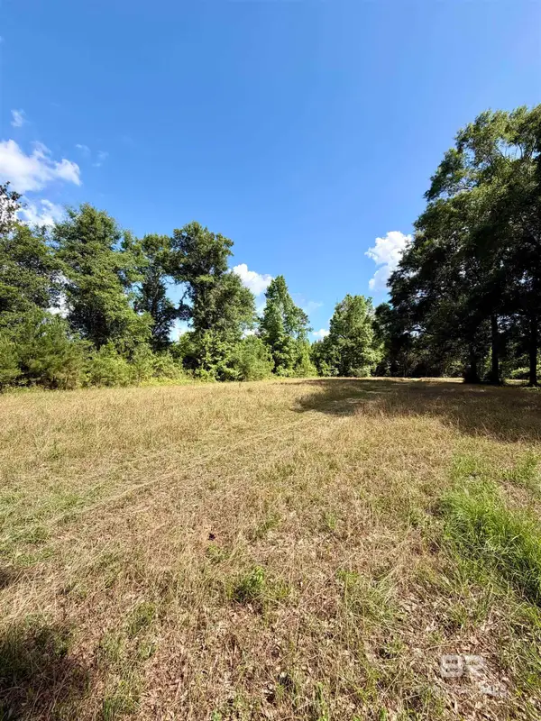 0 Green Town Road, Bay Minette, AL 36507
