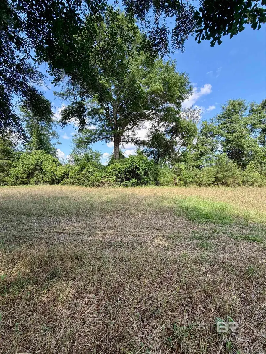 0 Green Town Road, Bay Minette, AL 36507 - #2