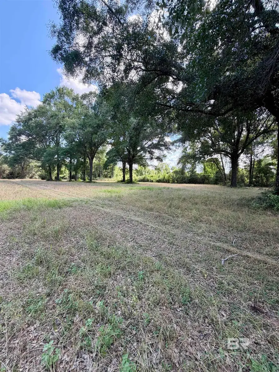 0 Green Town Road, Bay Minette, AL 36507 - #3