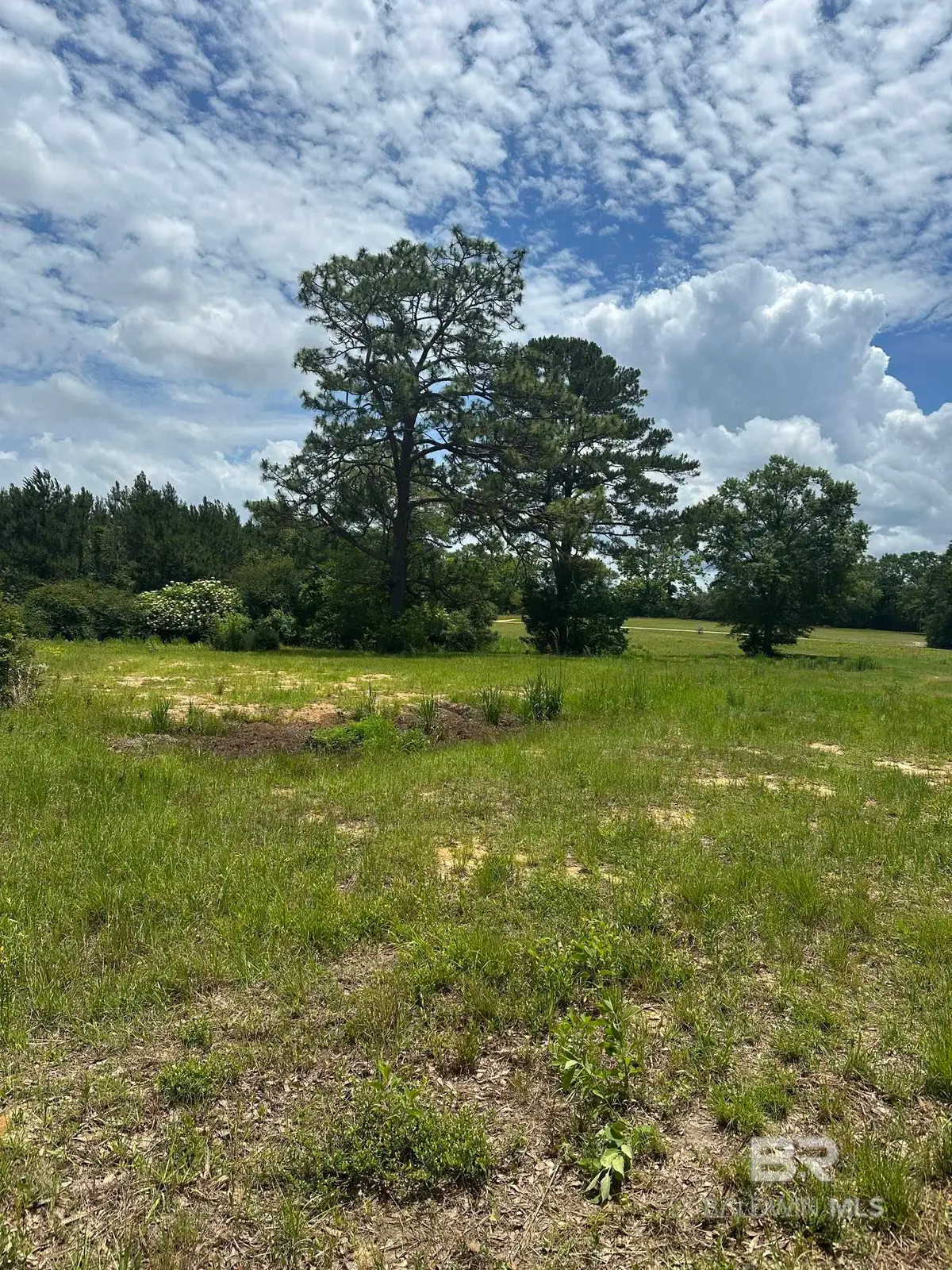0 N Rock Creek Road, Bradley, AL 36483 - #1