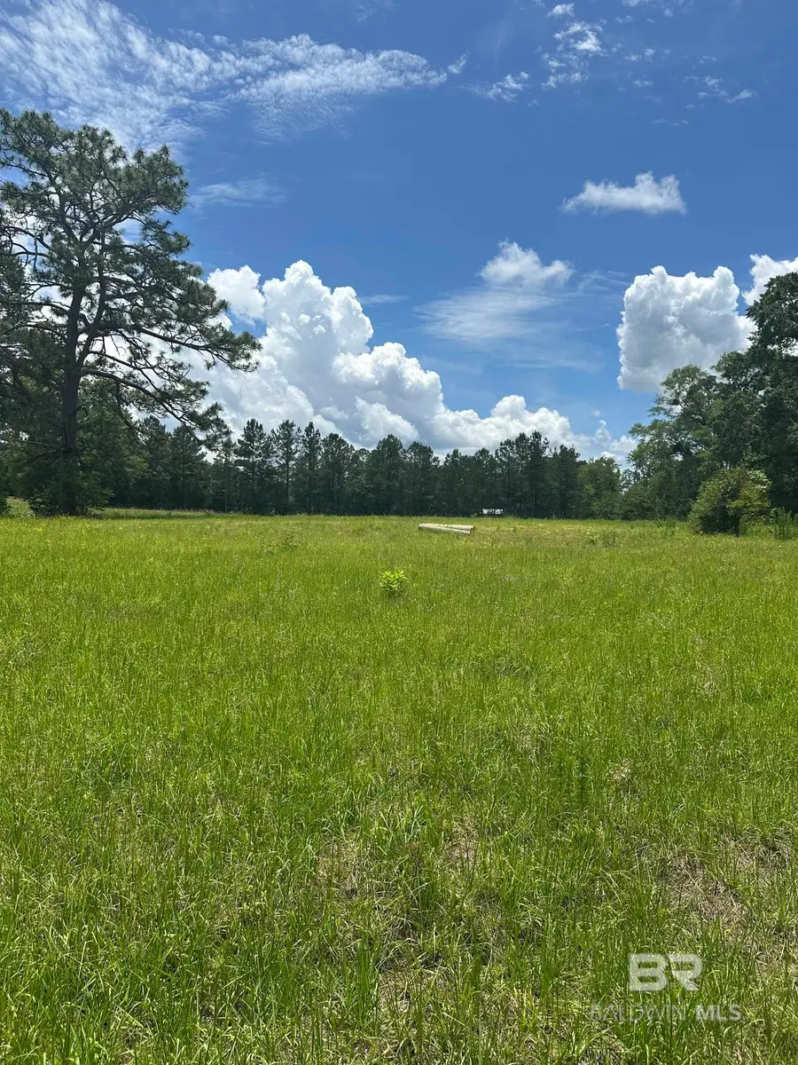0 N Rock Creek Road, Bradley, AL 36483 - #2