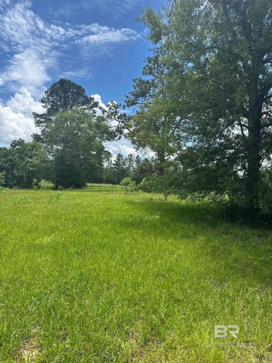 0 N Rock Creek Road, Bradley, AL 36483 - #3