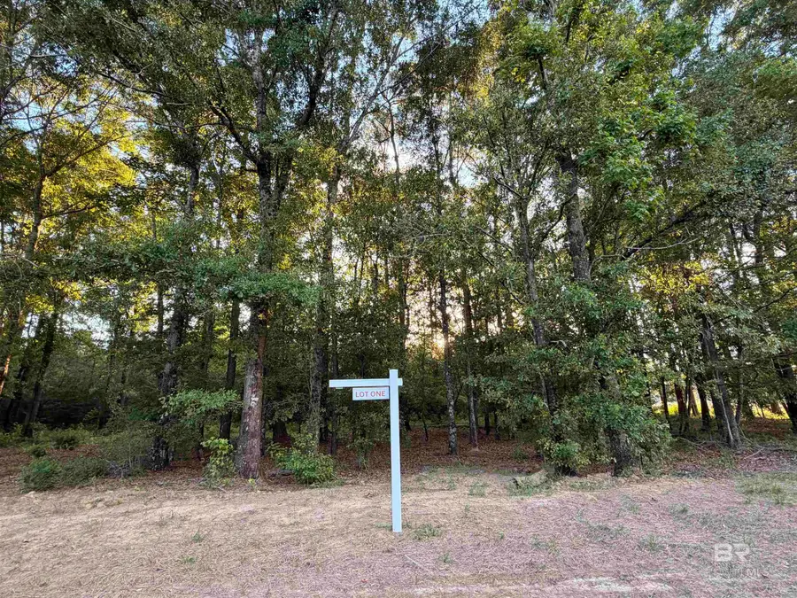 0 Pine Grove Rd Pine Grove Road, Bay Minette, AL 36507 - #2