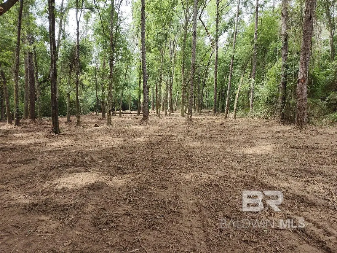 11208 Xanadu Trace, Foley, AL 36535 - #1