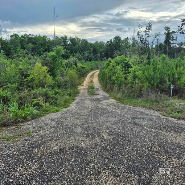 0 County Road 35, Evergreen, AL 36401