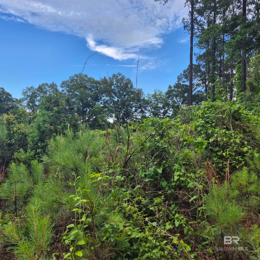 0 County Road 35, Evergreen, AL 36401 - #2