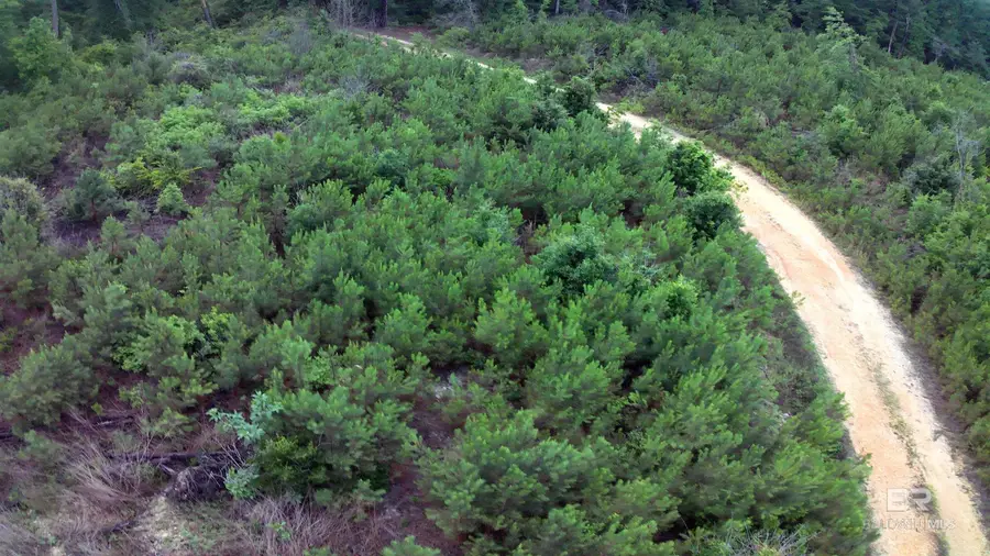 0 County Road 35, Evergreen, AL 36401 - #3
