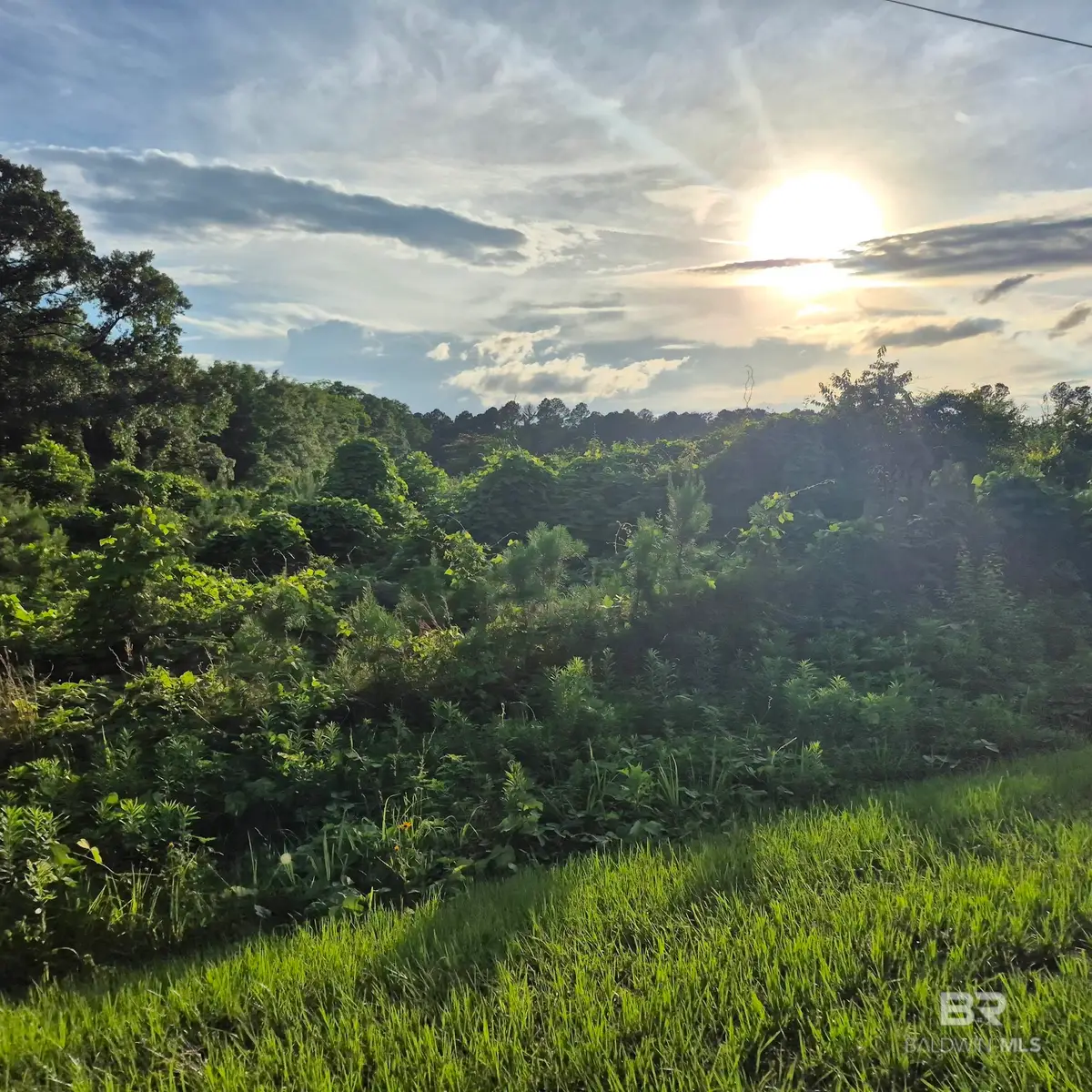 0 Brooklyn Road, Evergreen, AL 36401 - #1