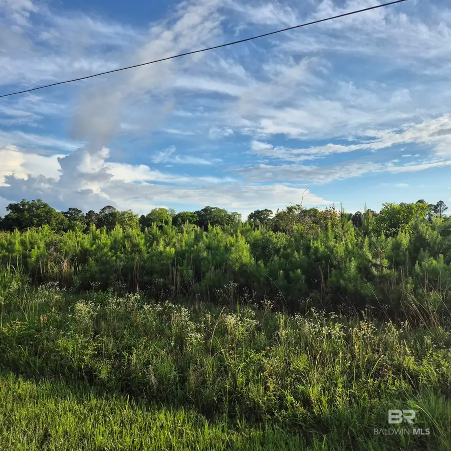0 Brooklyn Road, Evergreen, AL 36401 - #2