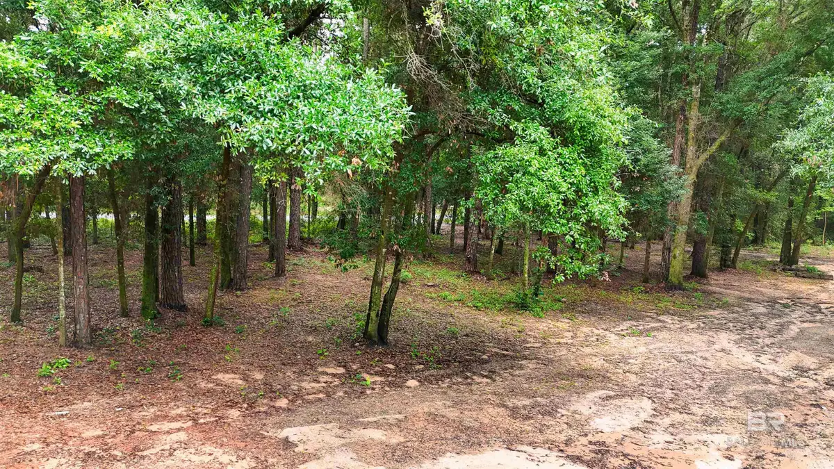 14149 Specs Lane, Summerdale, AL 36580 - #1