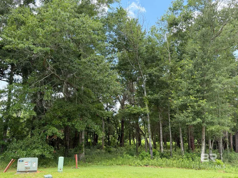 Lot 27 Reunion Place, Foley, AL 36535 - #2