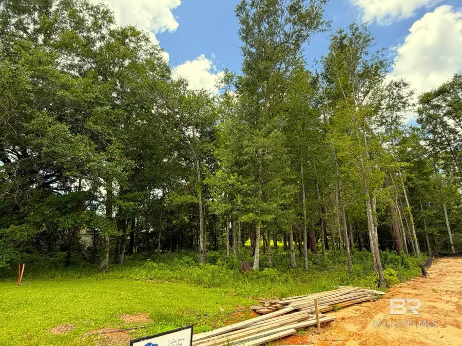 Lot 27 Reunion Place, Foley, AL 36535 - #3