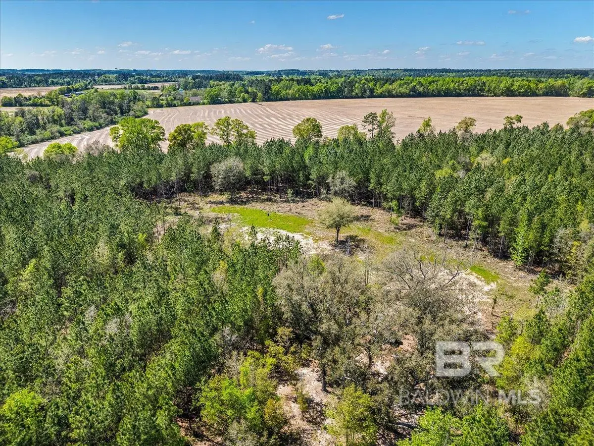 22544 Lechner Road, Robertsdale, AL 36567 - #1