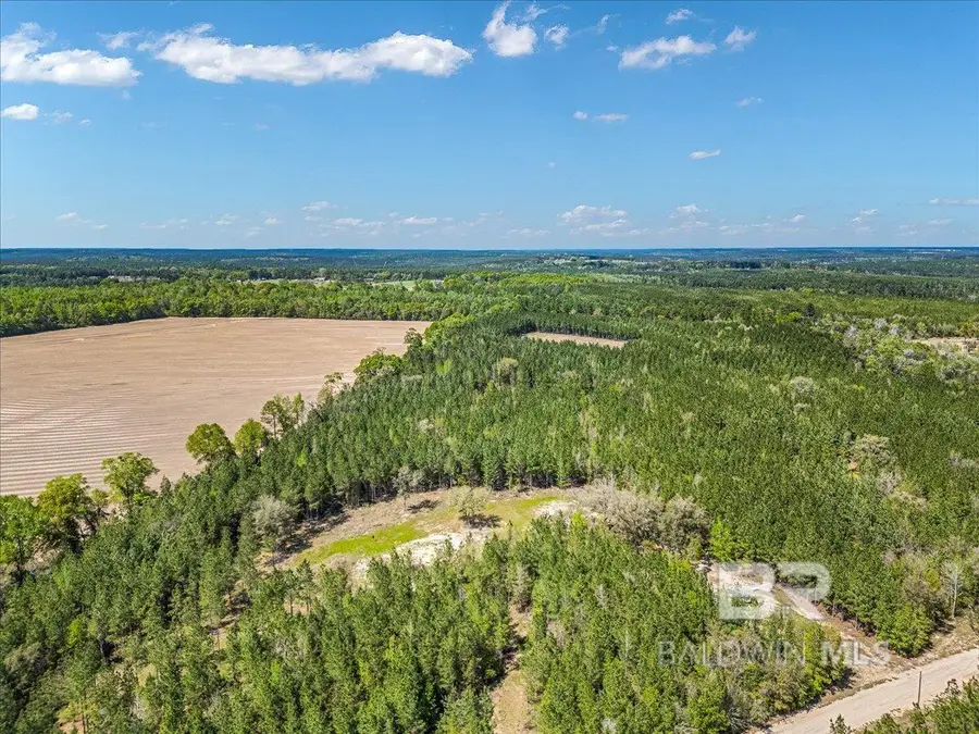 22544 Lechner Road, Robertsdale, AL 36567 - #2