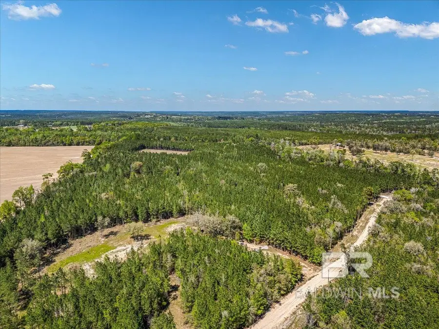 22544 Lechner Road, Robertsdale, AL 36567 - #3