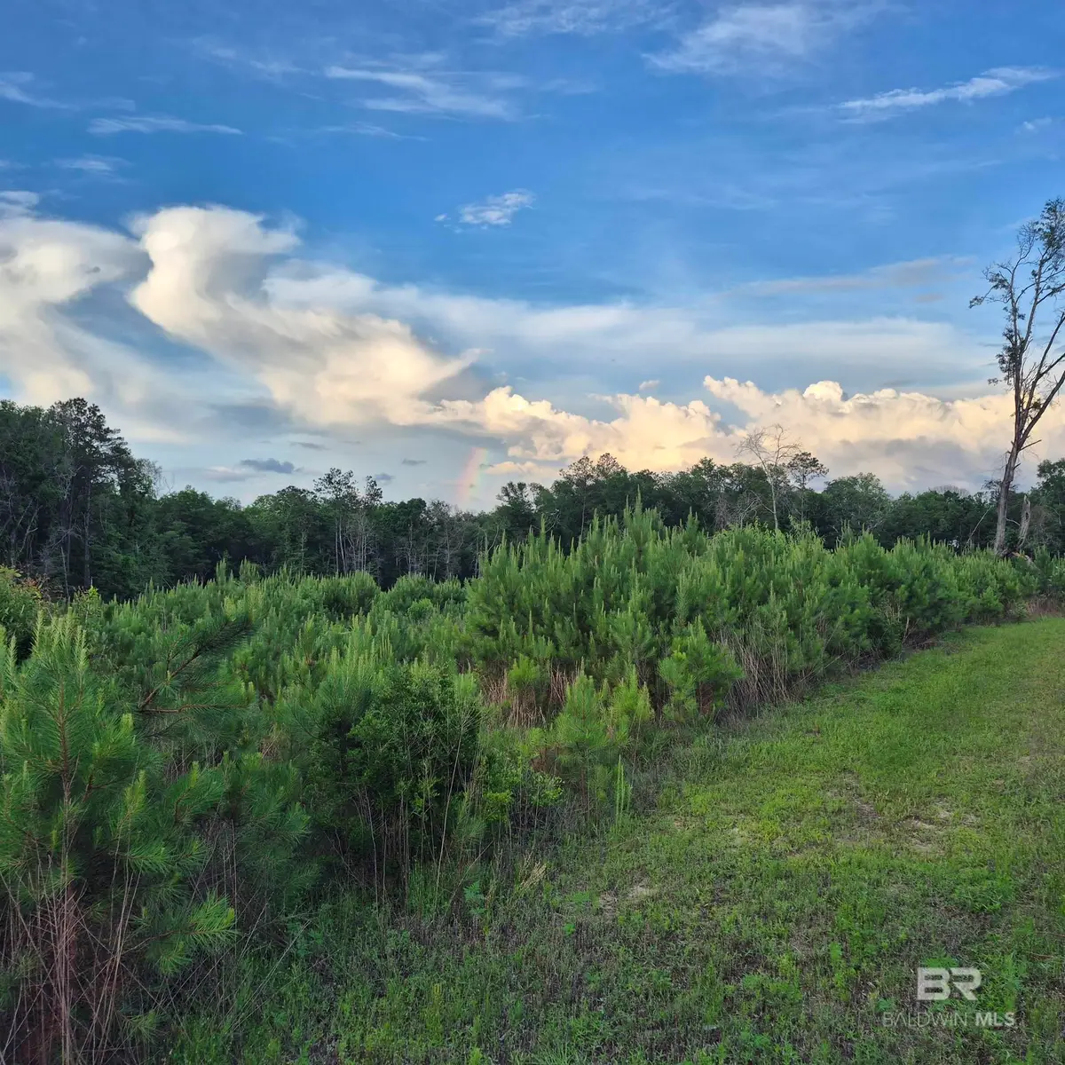 000 Brooklyn Road, Evergreen, AL 36401 - #1