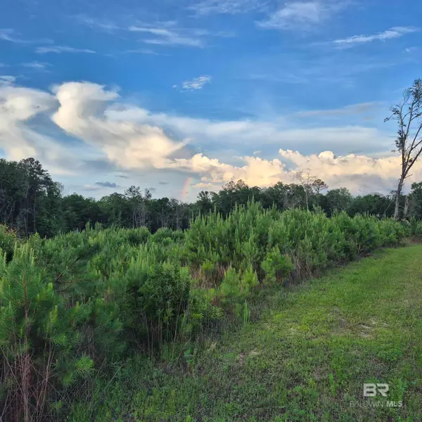 000 Brooklyn Road, Evergreen, AL 36401