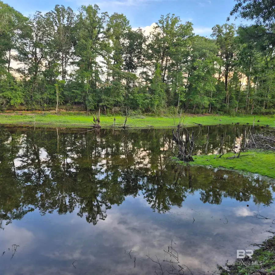 000 Brooklyn Road, Evergreen, AL 36401 - #3