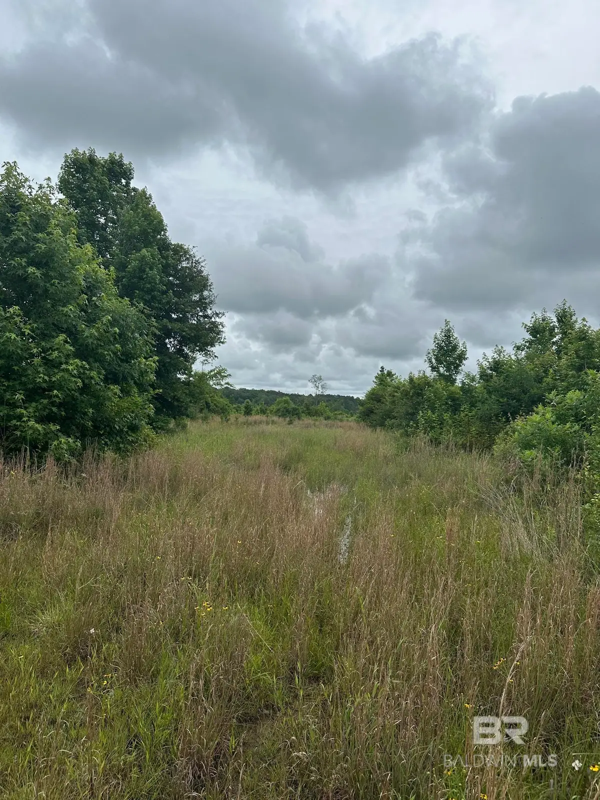 0 E County Road 214, Selma, AL 36701 - #1