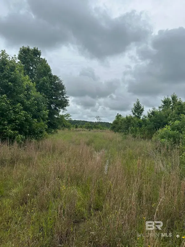 0 E County Road 214, Selma, AL 36701
