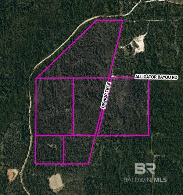 0 Bishop Trace, Lillian, AL 36549