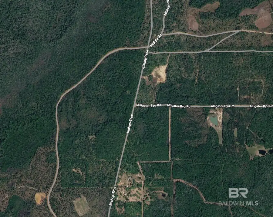 0 Bishop Trace, Lillian, AL 36549 - #2