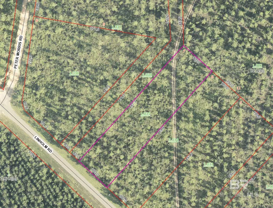 0 Linholm Road, Robertsdale, AL 36567 - #2